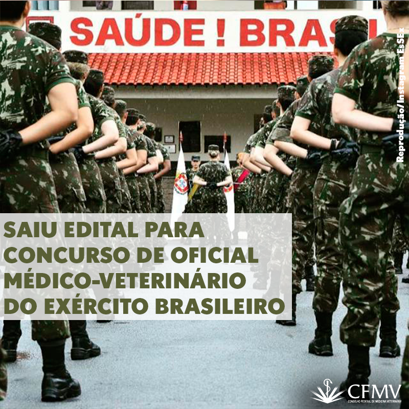 O que cai na prova do Exército Brasileiro? Curso para concursos militares