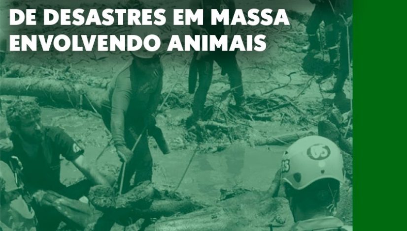 CFMV aprova Plano Nacional de Contingência de Desastres em Massa Envolvendo Animais