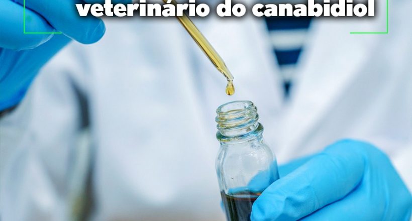 CFMV contribui para projeto de lei que possibilita o uso veterinário do canabidiol