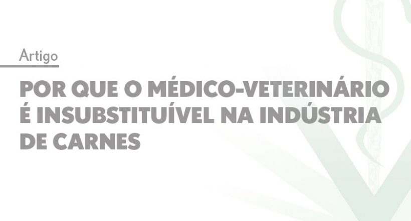 Por que o médico-veterinário é insubstituível na indústria de carnes