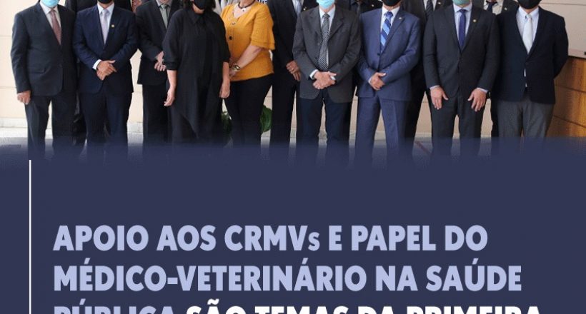 Apoio aos CRMVs e papel do médico-veterinário na saúde pública são temas da primeira plenária do ano