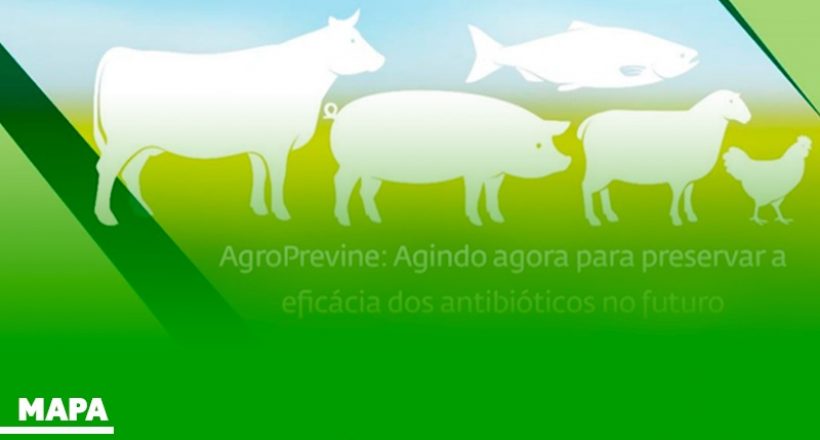 Programa do Mapa monitora o perfil de resistência aos antimicrobianos nas cadeias de produção de proteína animal