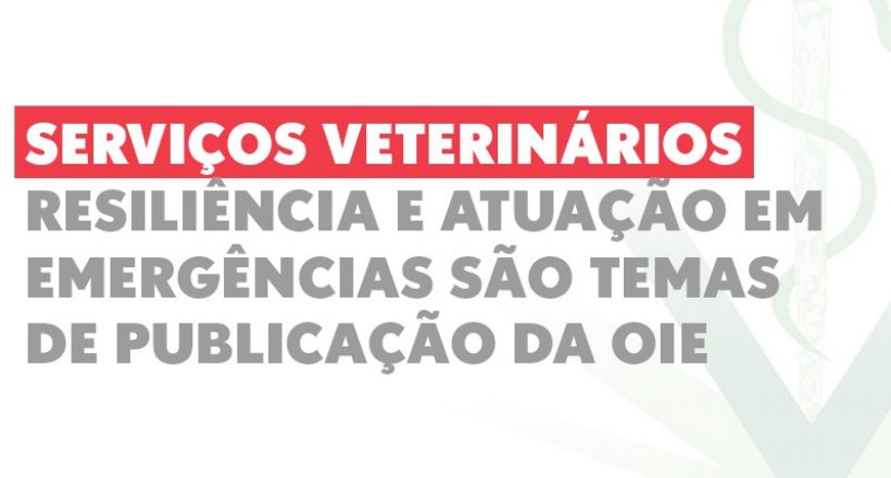 Serviços Veterinários