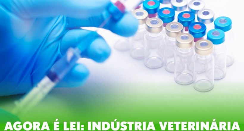 Agora é lei: indústria veterinária está autorizada a produzir vacina contra a covid-19