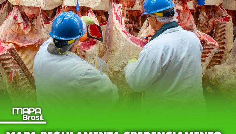 Mapa regulamenta credenciamento de empresas para inspeção sanitária após abate