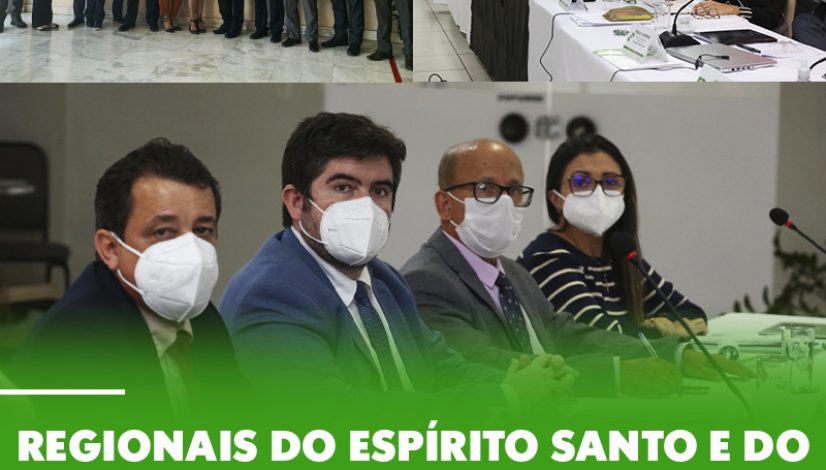 Regionais do Espírito Santo e do Rio Grande do Norte participam de capacitação no CFMV