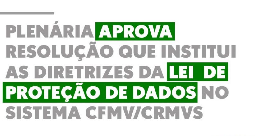 Plenária aprova resolução que institui as diretrizes da Lei de Proteção de Dados