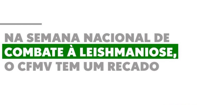 Na Semana Nacional de Combate à Leishmaniose, o CFMV tem um recado