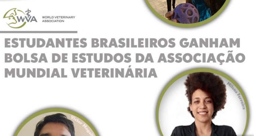 Estudantes brasileiros ganham bolsa de estudos da Associação Mundial Veterinária