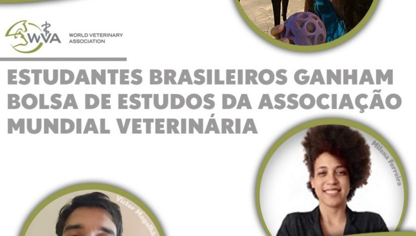 Estudantes brasileiros ganham bolsa de estudos da Associação Mundial Veterinária
