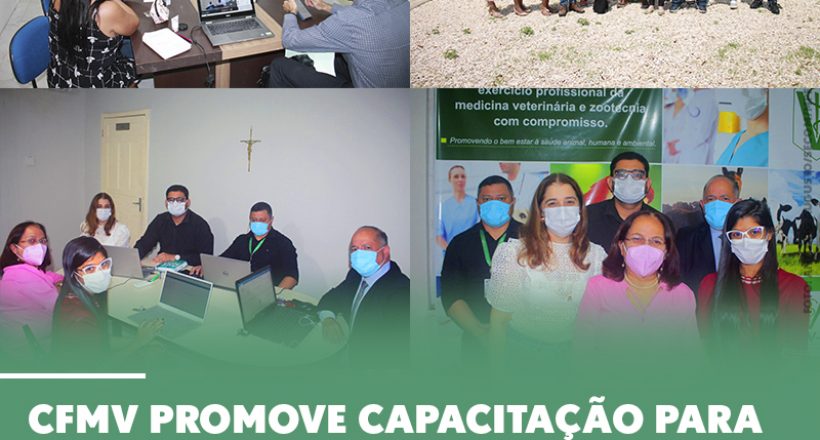 CFMV promove capacitação para fortalecer os regionais do Pará e Tocantins