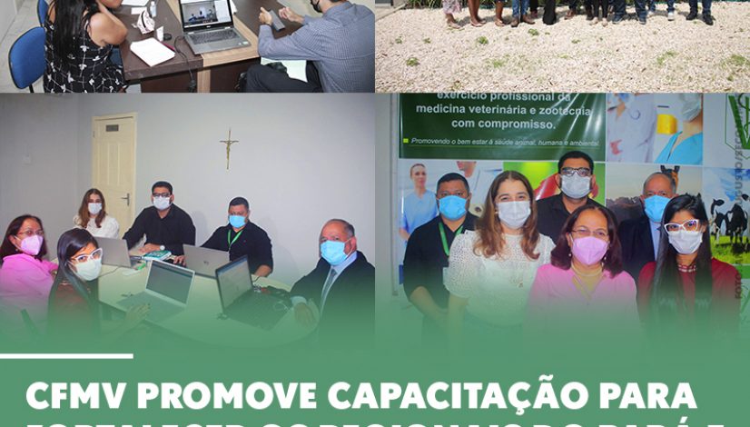 CFMV promove capacitação para fortalecer os regionais do Pará e Tocantins