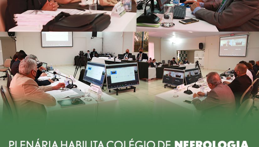 Plenária habilita Colégio de Nefrologia e Urologia Veterinária para concessão de títulos de especialista