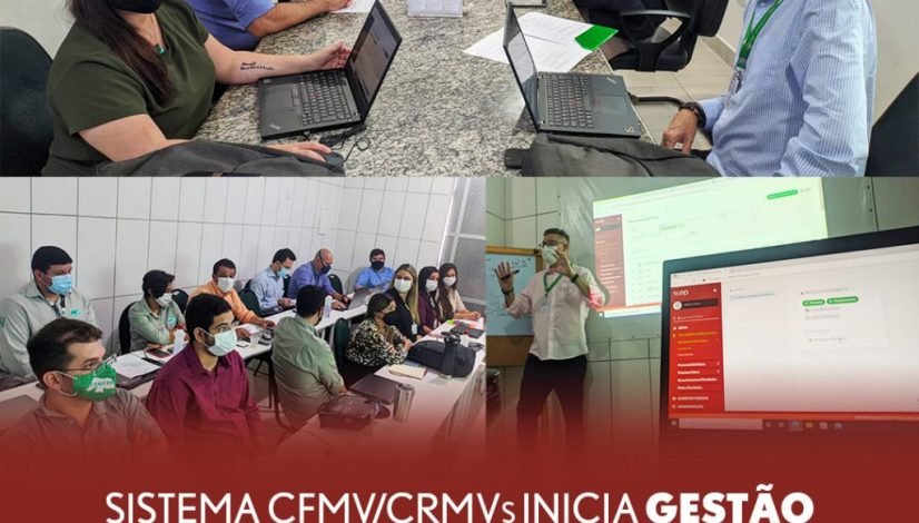 Sistema CFMV/CRMVs inicia gestão eletrônica de informações administrativas pelo CRMV-RN