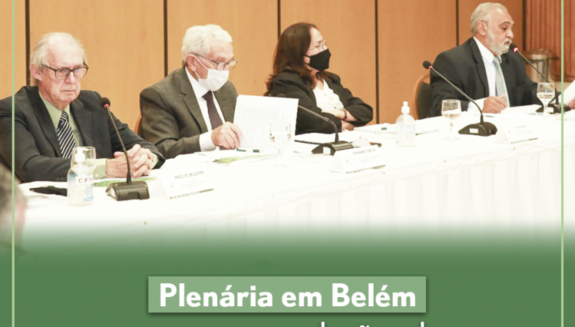 Plenária em Belém aprova nova resolução sobre atuação do zootecnista