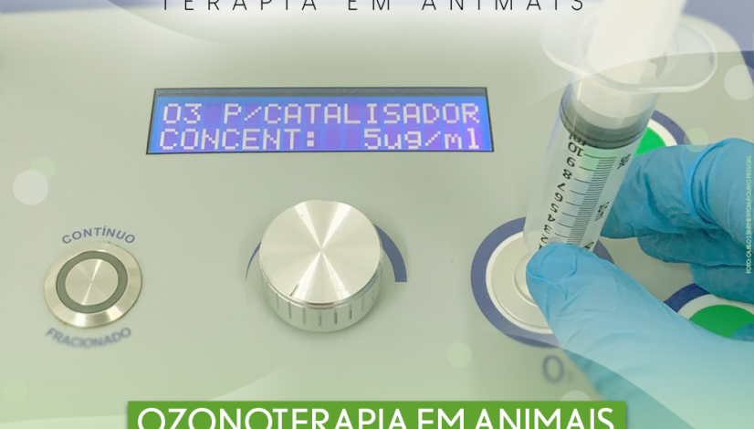 O que diz a regulamentação sobre ozonoterapia em animais?