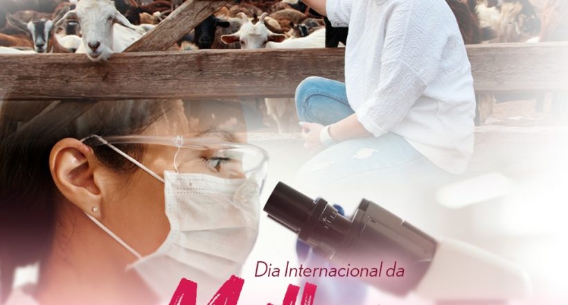 Raio-X das mulheres brasileiras na Medicina Veterinária e Zootecnia