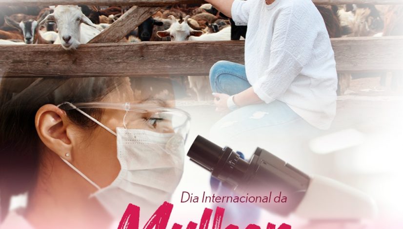 Raio-X das mulheres brasileiras na Medicina Veterinária e Zootecnia