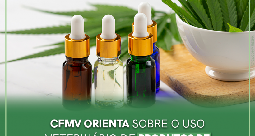 CFMV orienta sobre o uso veterinário de produtos de Cannabis