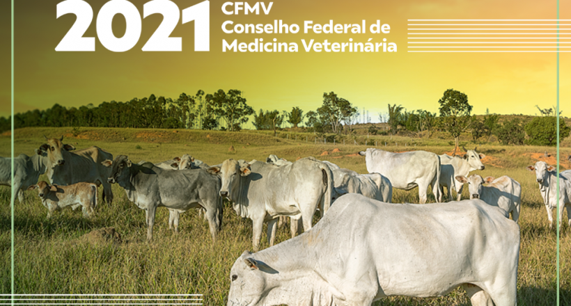 A união é a força do Sistema CFMV/CRMVs, indica o Relatório de Gestão de 2021