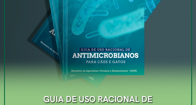 Antimicrobianos destaque