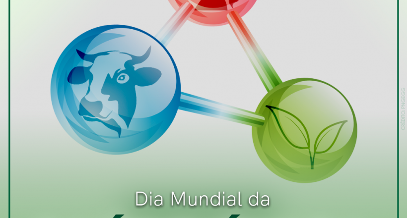 Dia Mundial da Saúde Única, 3 de novembro