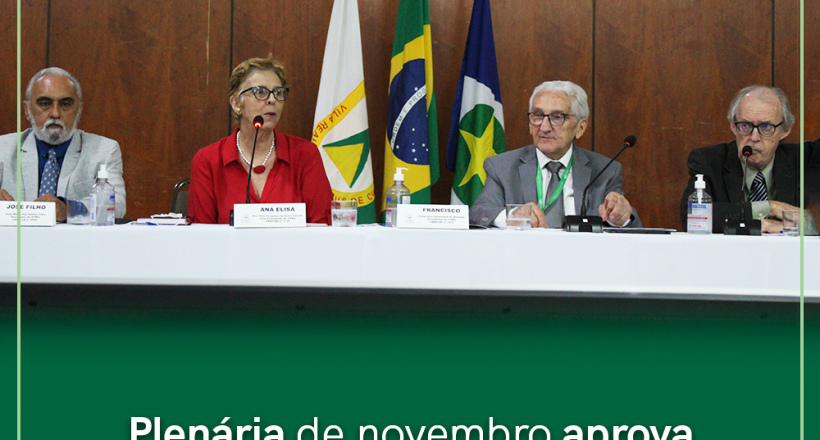 Plenária de novembro aprova contas do federal e dos regionais