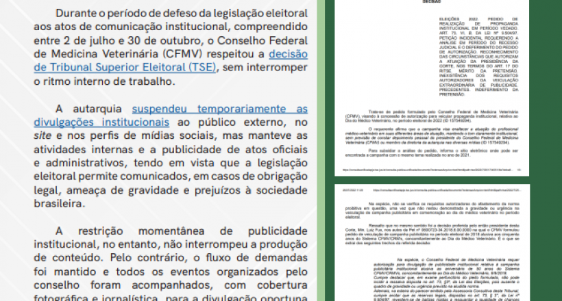 Newsletter Conecta & Transforma