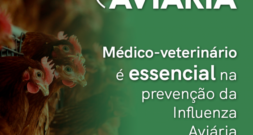 Influenza Aviária