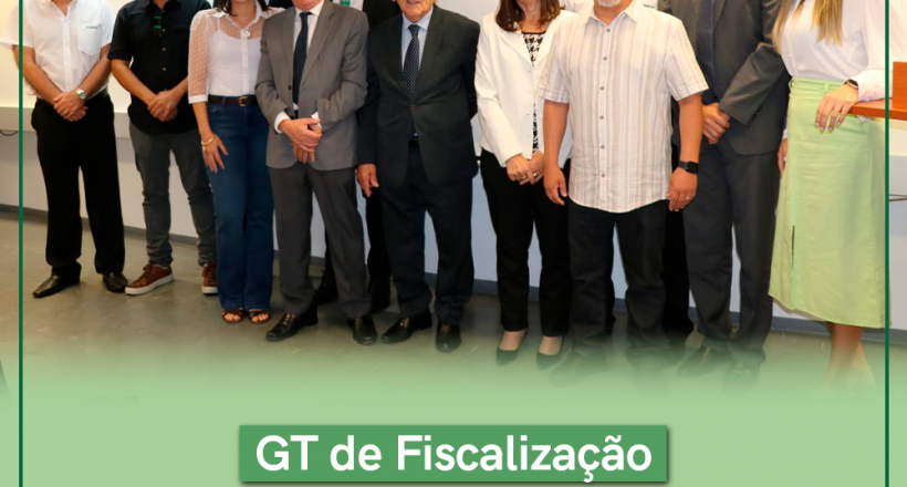 GT Fiscalização