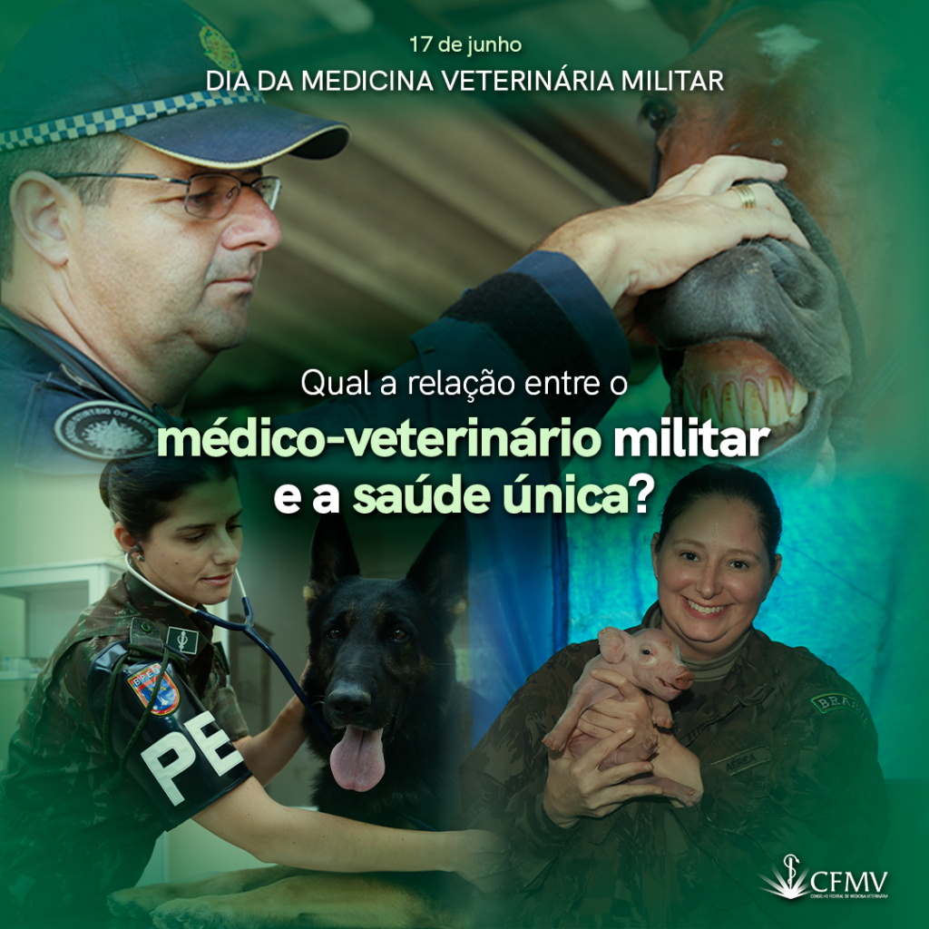 Qual a rela o entre o m dico veterin rio militar e a sa de nica